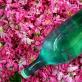 Как приготовить в домашних условиях воду из лепестков розы и ее использовать?